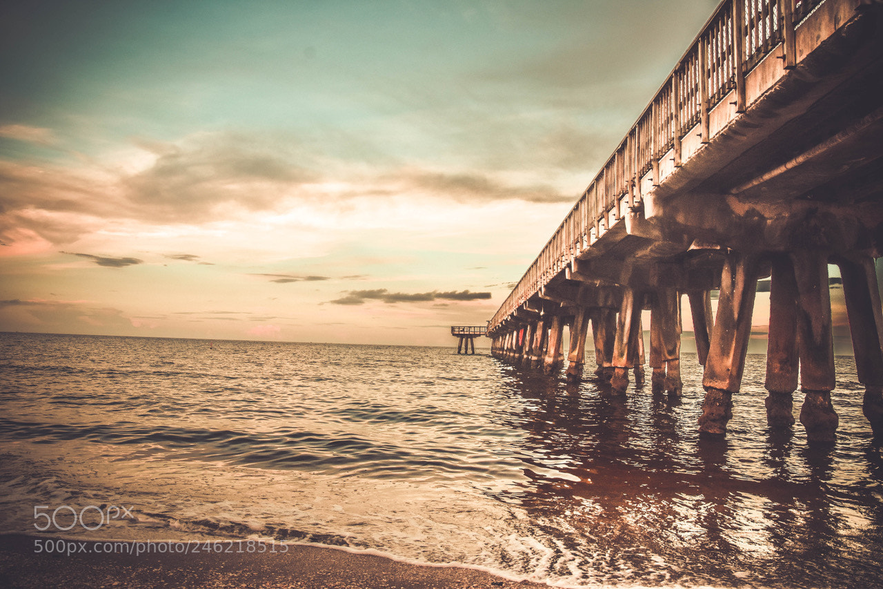 Nikon D7200 sample photo. Under the ponton.. photography