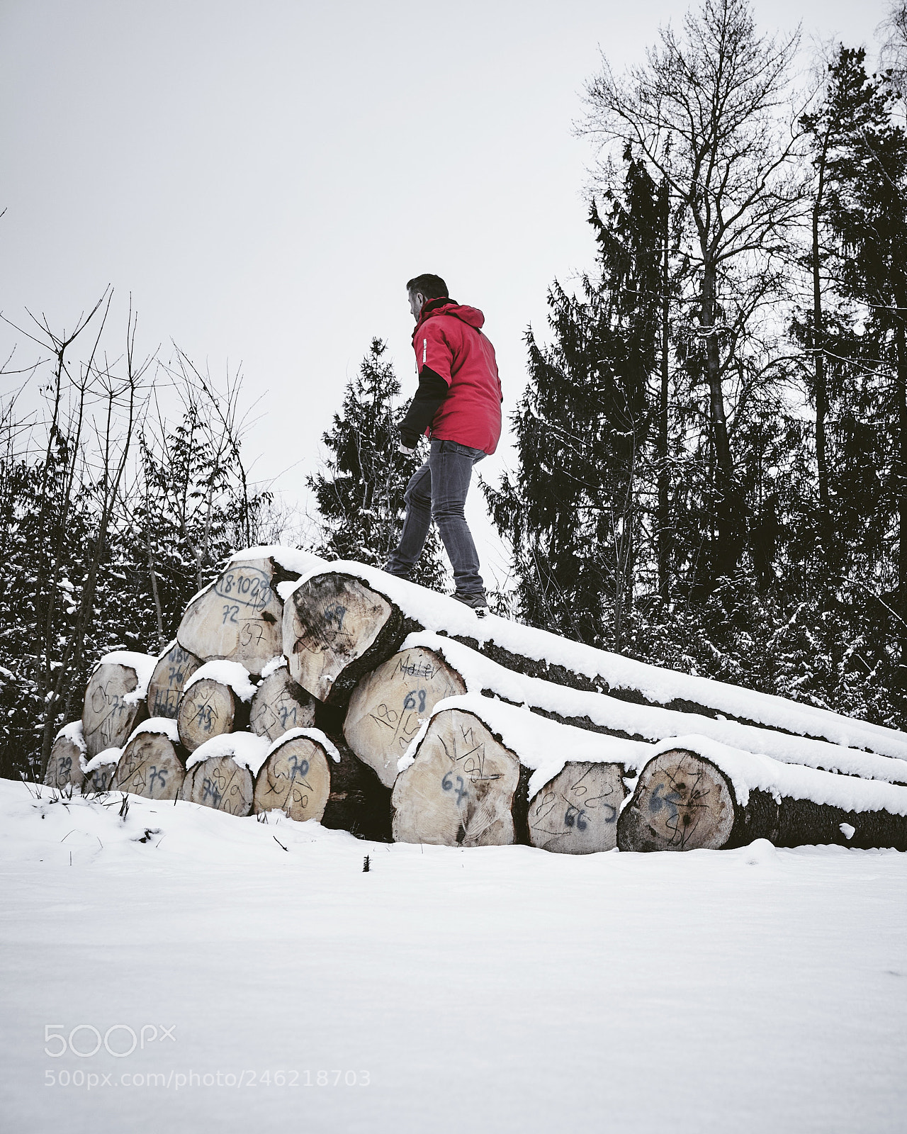 Sony a6500 sample photo. Climb the wood ? photography