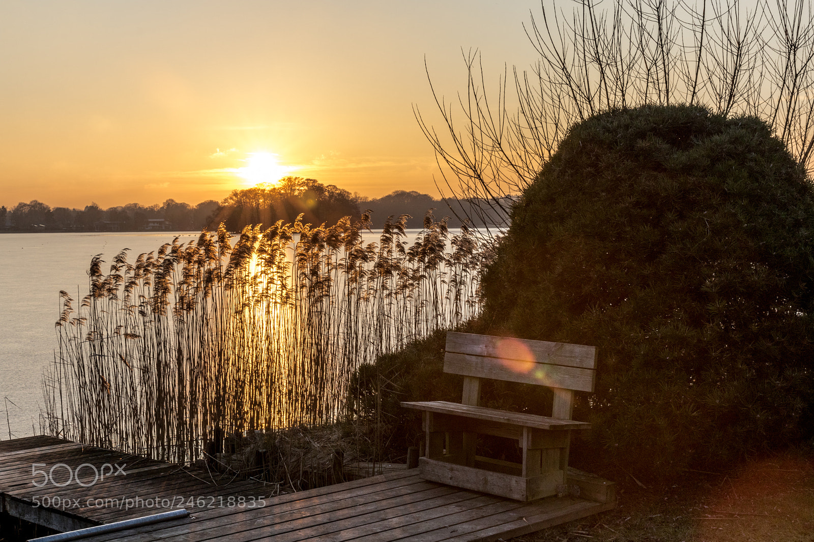 Canon EOS 7D Mark II sample photo. Sunset and a free photography