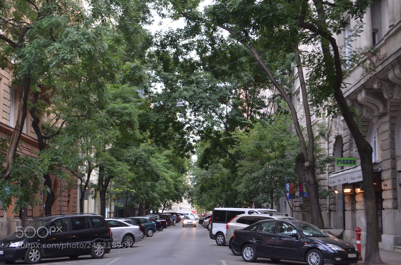 Nikon D5100 sample photo. Photos - b.b abroad photography