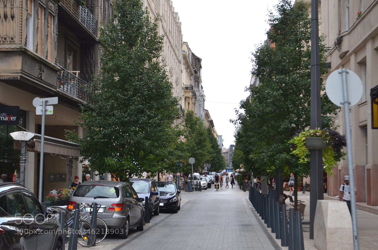 Nikon D5100 sample photo. Photos - b.b abroad photography
