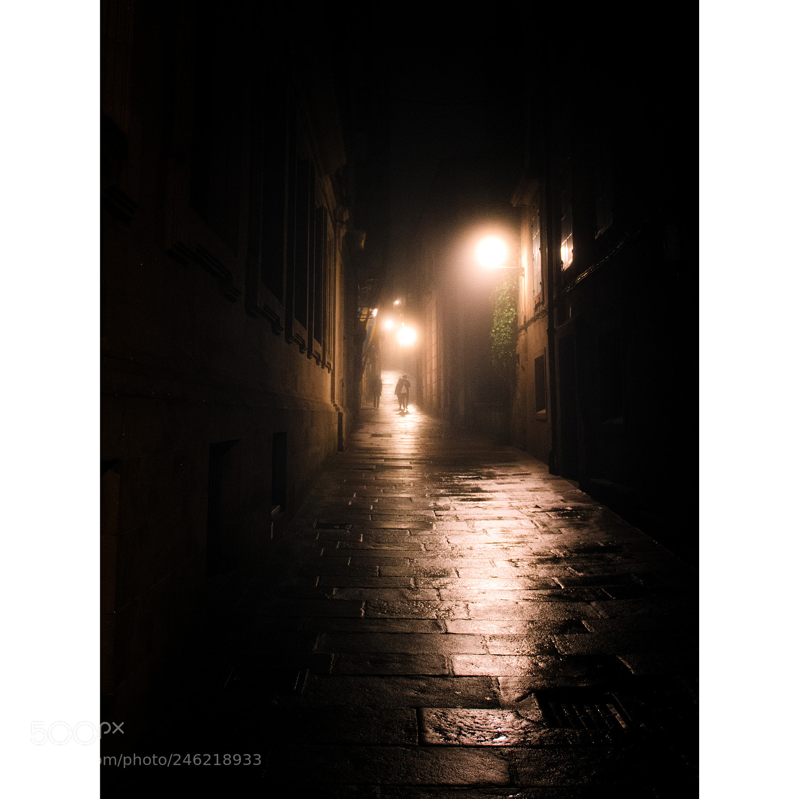 Nikon D810 sample photo. Santiago photography
