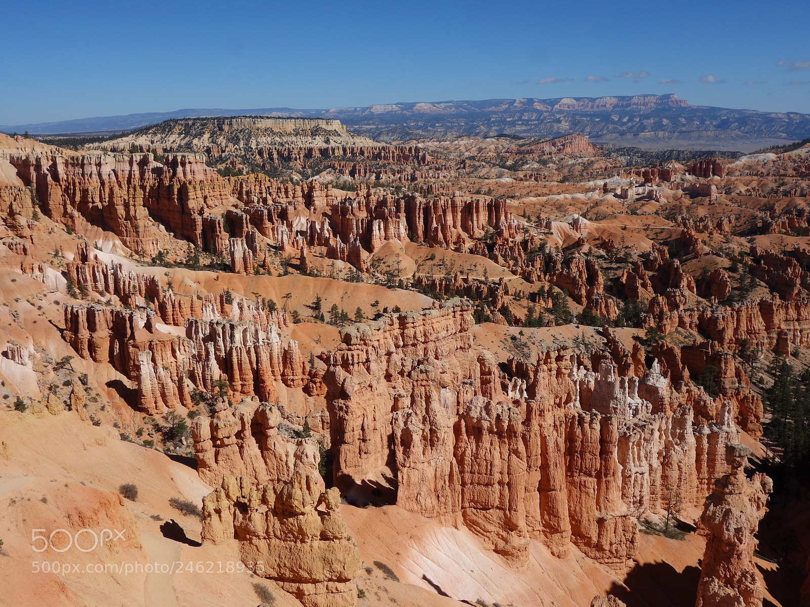 Sony Cyber-shot DSC-RX100 sample photo. ***bryce*** photography