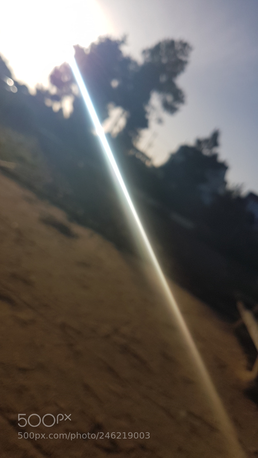 Samsung Galaxy S7 Edge sample photo. Untitled photography