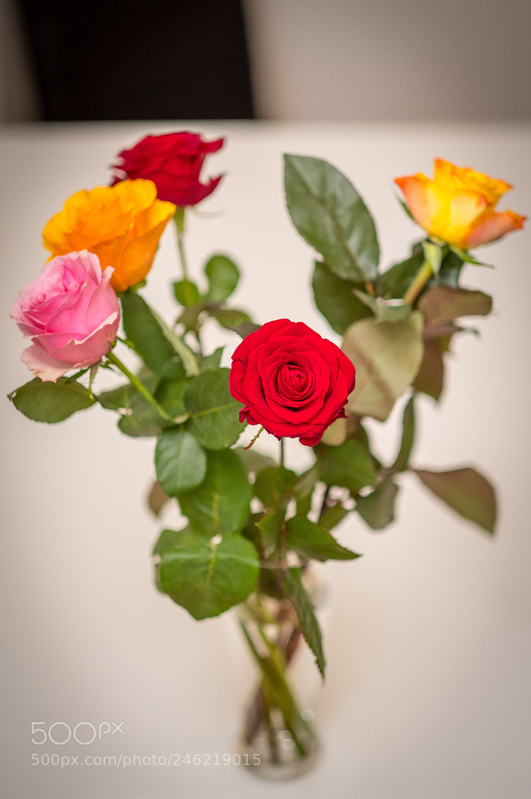 Fujifilm X-T20 sample photo. Valentine's day roses photography