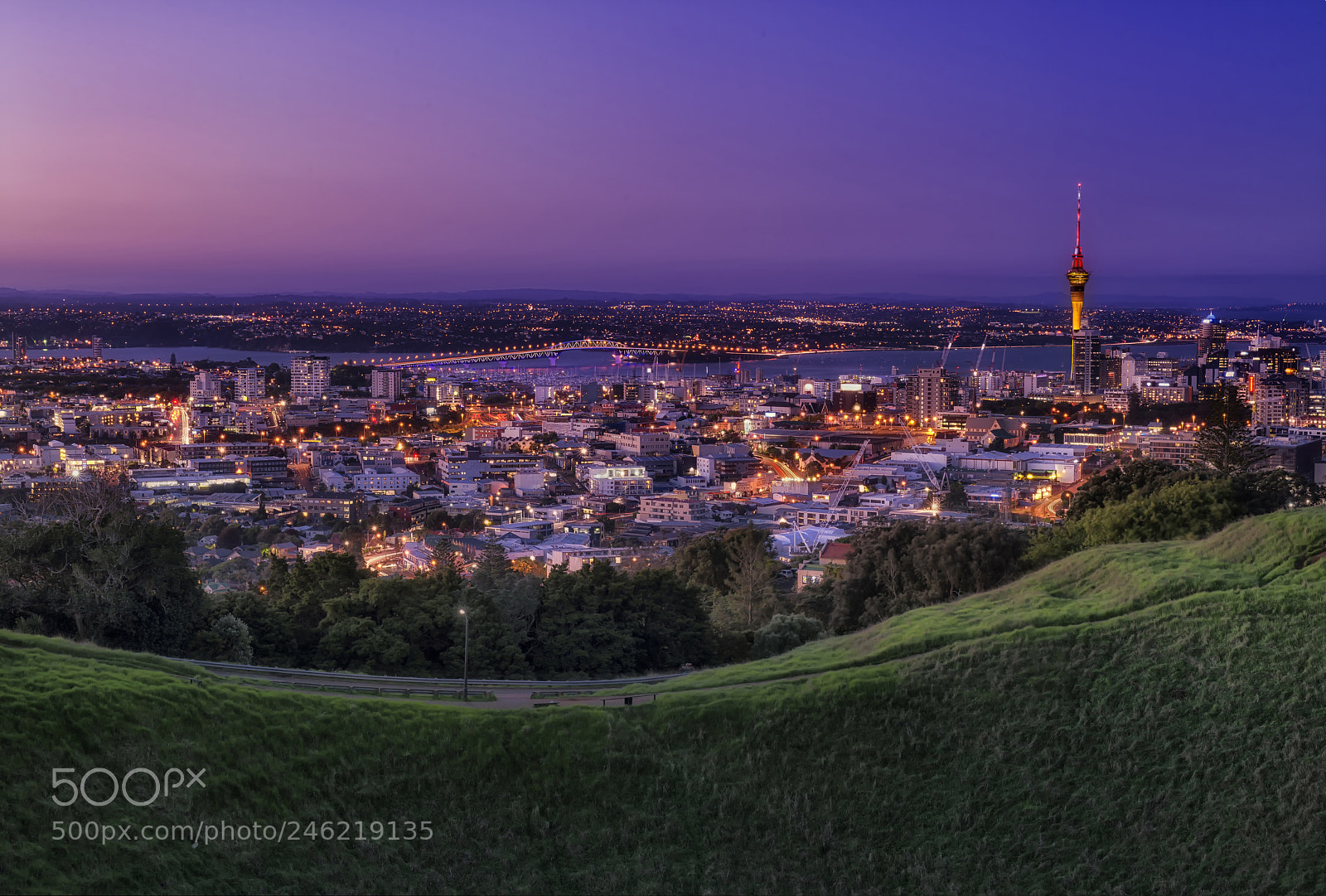 Nikon D800 sample photo. Nightfell on mt. eden photography