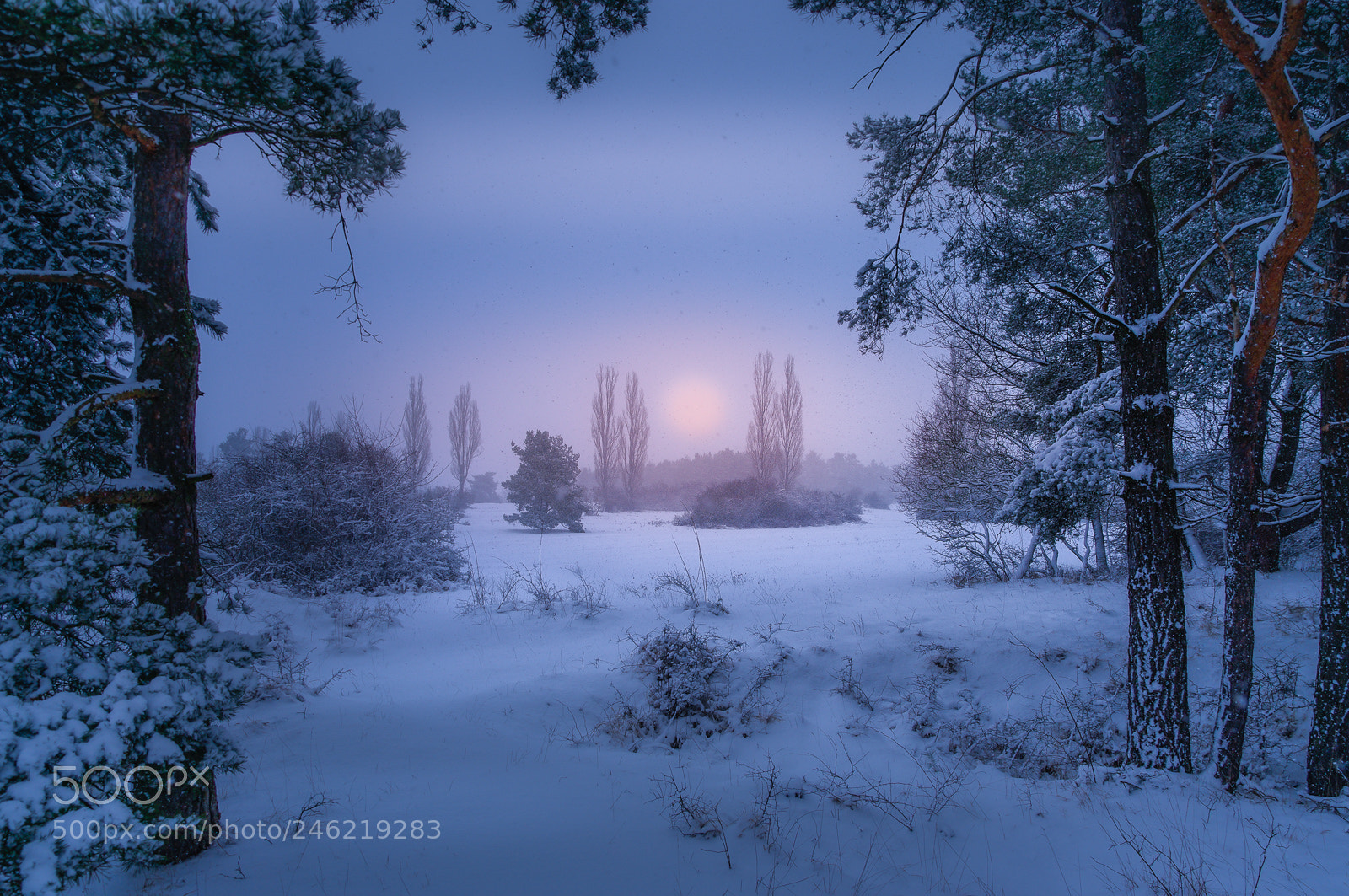 Pentax K20D sample photo. Winter breath photography
