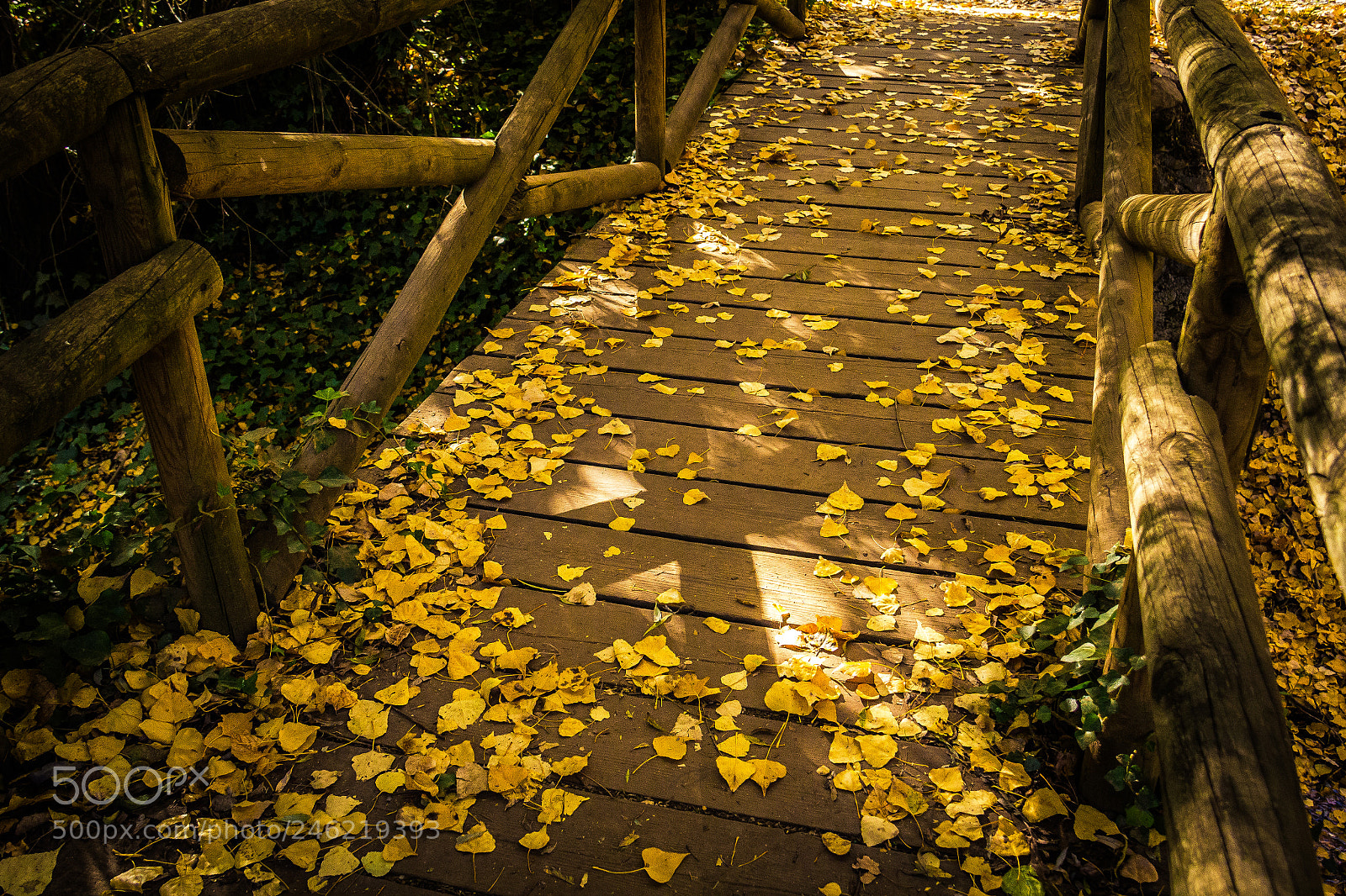 Canon EOS 600D (Rebel EOS T3i / EOS Kiss X5) sample photo. Andalusian autumn photography