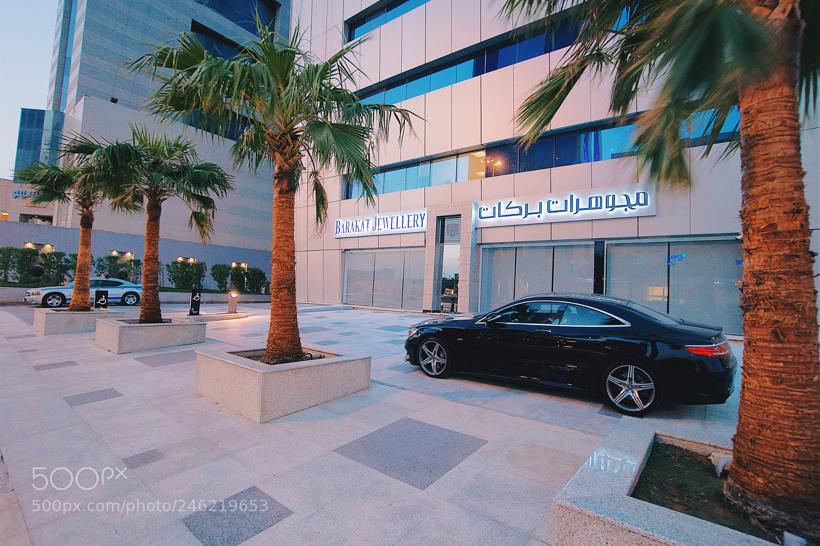 Sony a7R II sample photo. Untitled photography