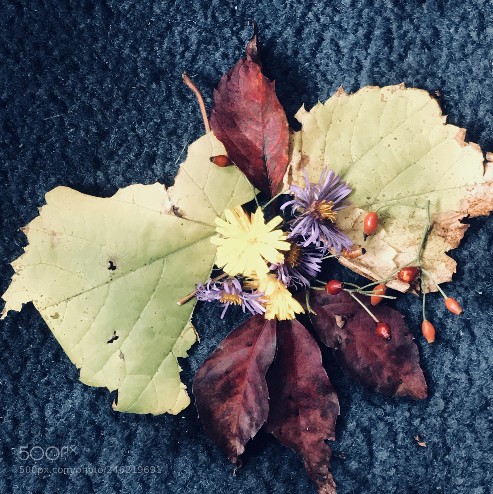 Apple iPhone 7 Plus sample photo. Make it happen by photography