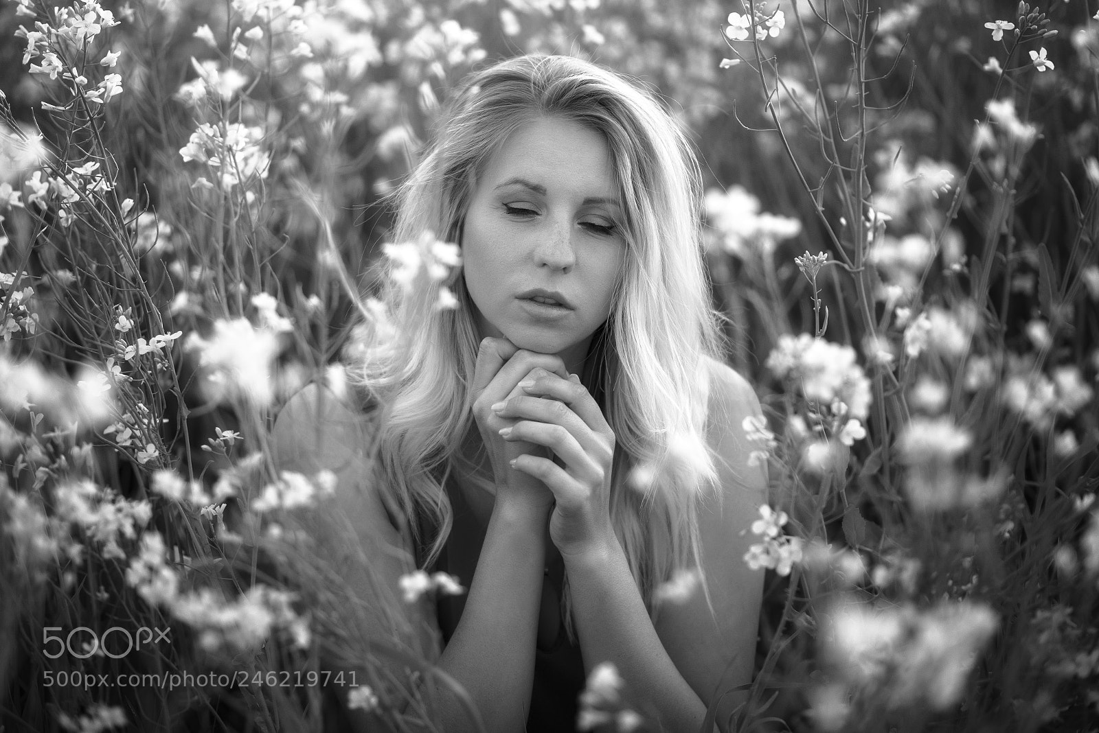 Nikon D610 sample photo. Flowers photography