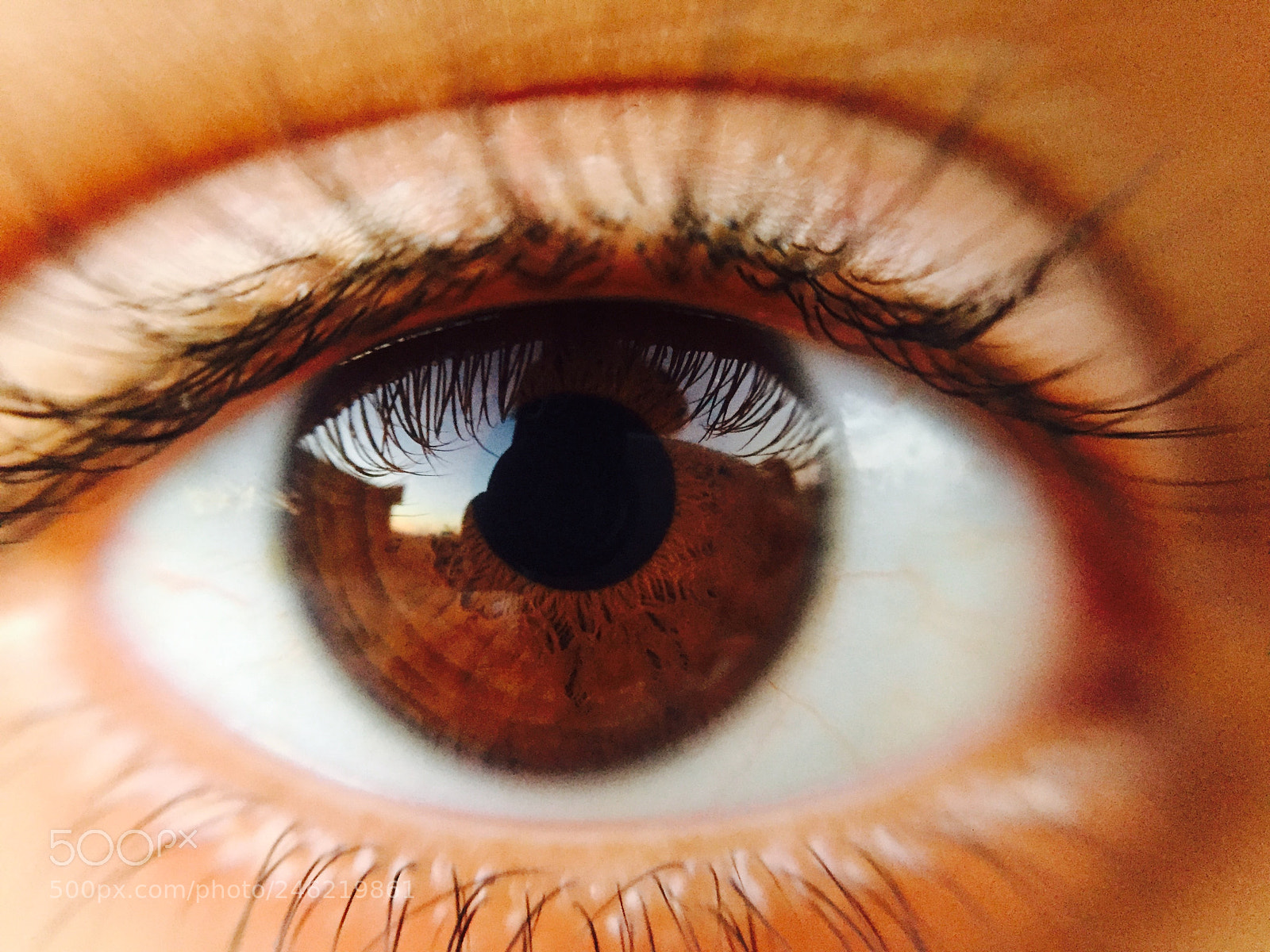 Apple iPhone 6 sample photo. Eyes photography