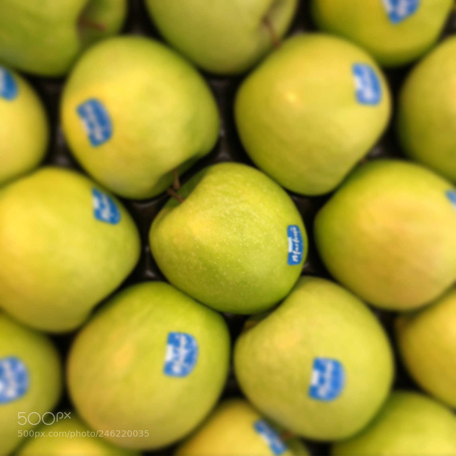 Apple iPhone X sample photo. Simmetrie photography