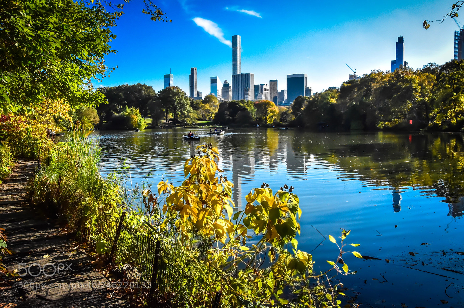 Nikon D7200 sample photo. Central park, new york photography