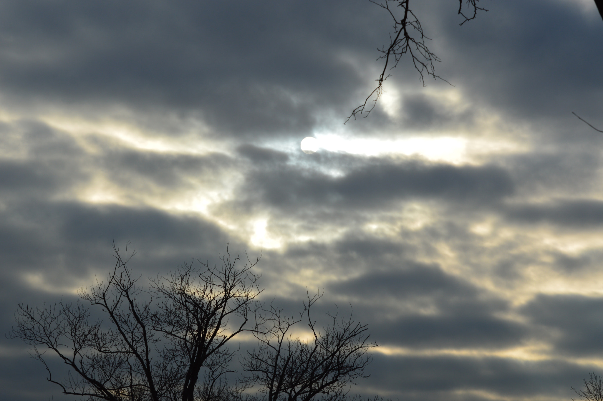 Nikon D3200 sample photo. Afternoon sun photography