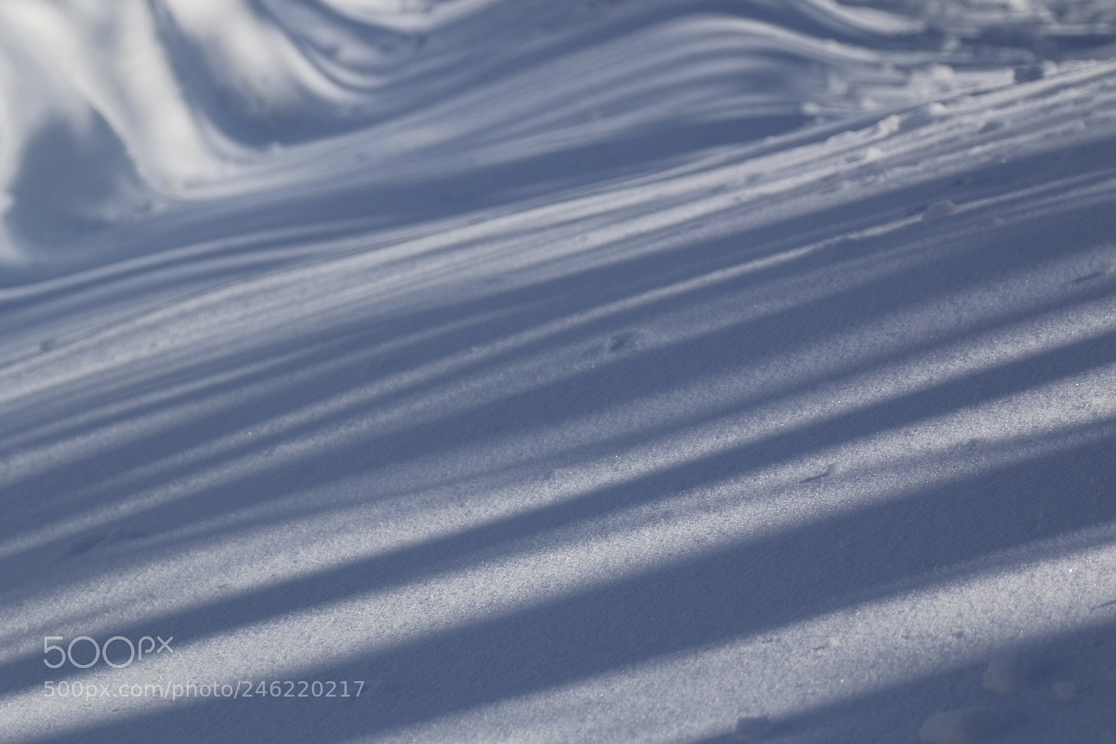 Canon EOS 70D + Canon EF 24-105mm F4L IS USM sample photo. Snow flackes photography