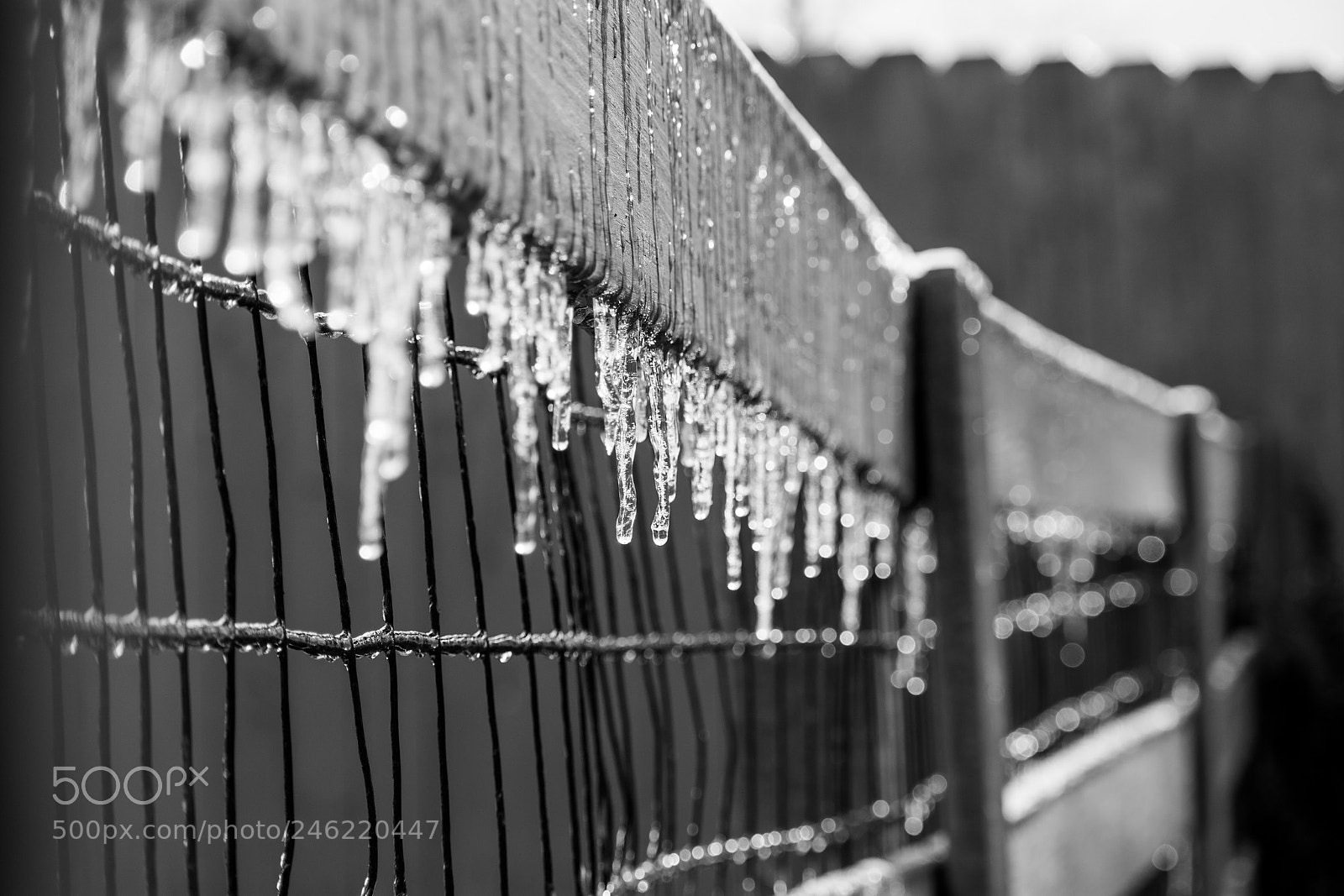 Nikon D3400 sample photo. Untitled photography