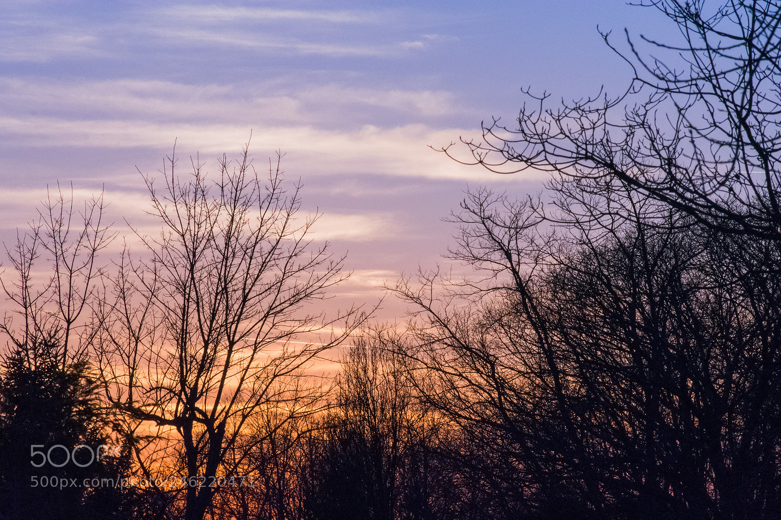 Nikon D3400 sample photo. Untitled photography