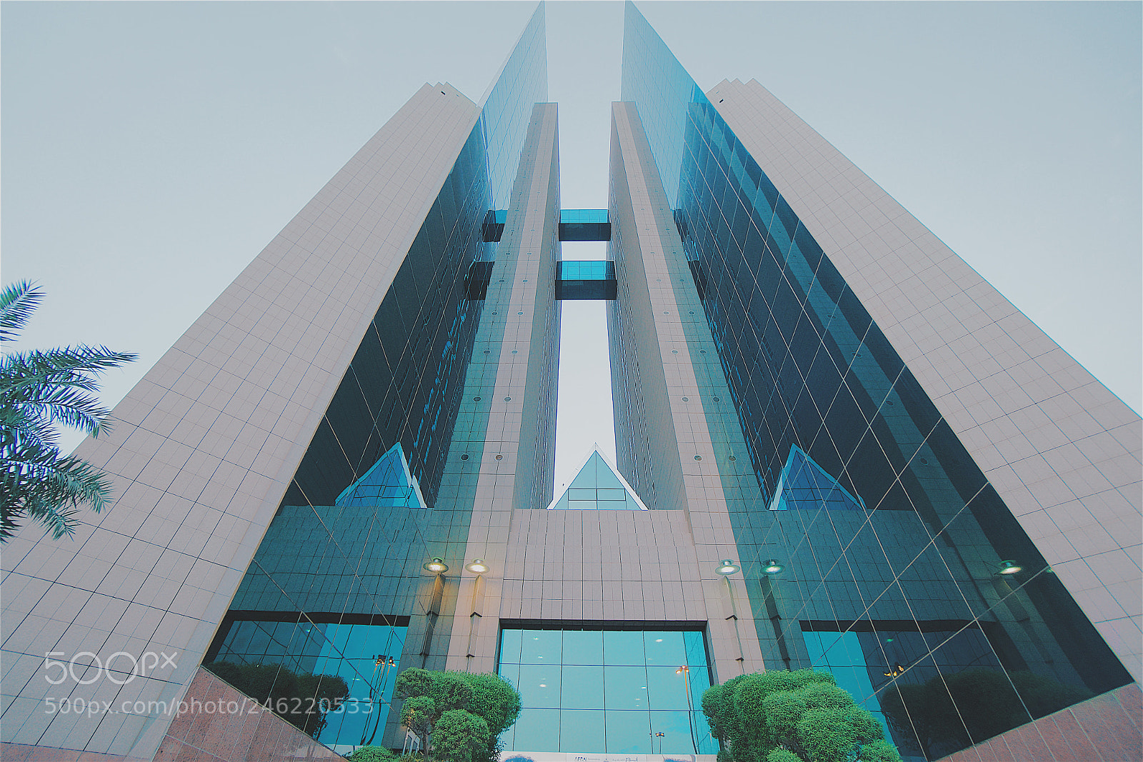 Sony a7R II sample photo. Untitled photography