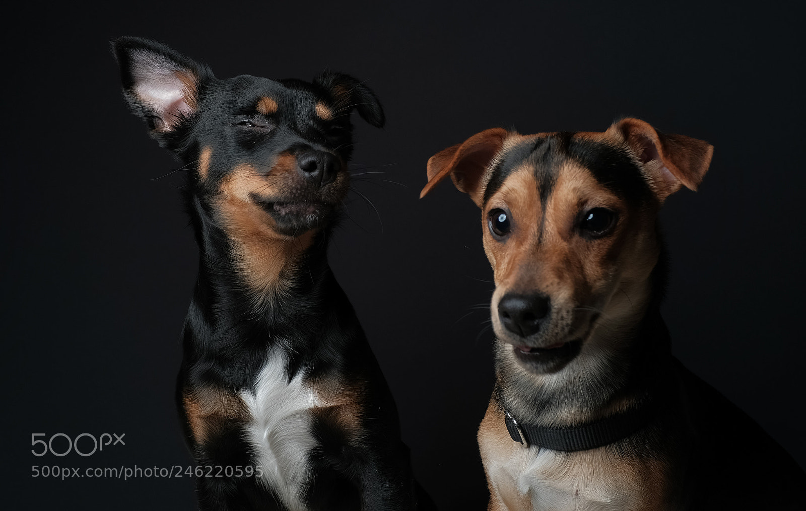 Fujifilm X100F sample photo. Little criminals ;) photography