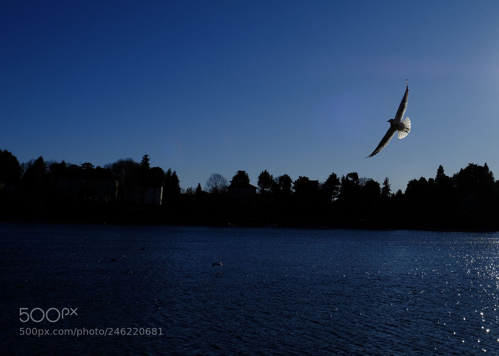 Fujifilm X-T2 sample photo. Untitled photography