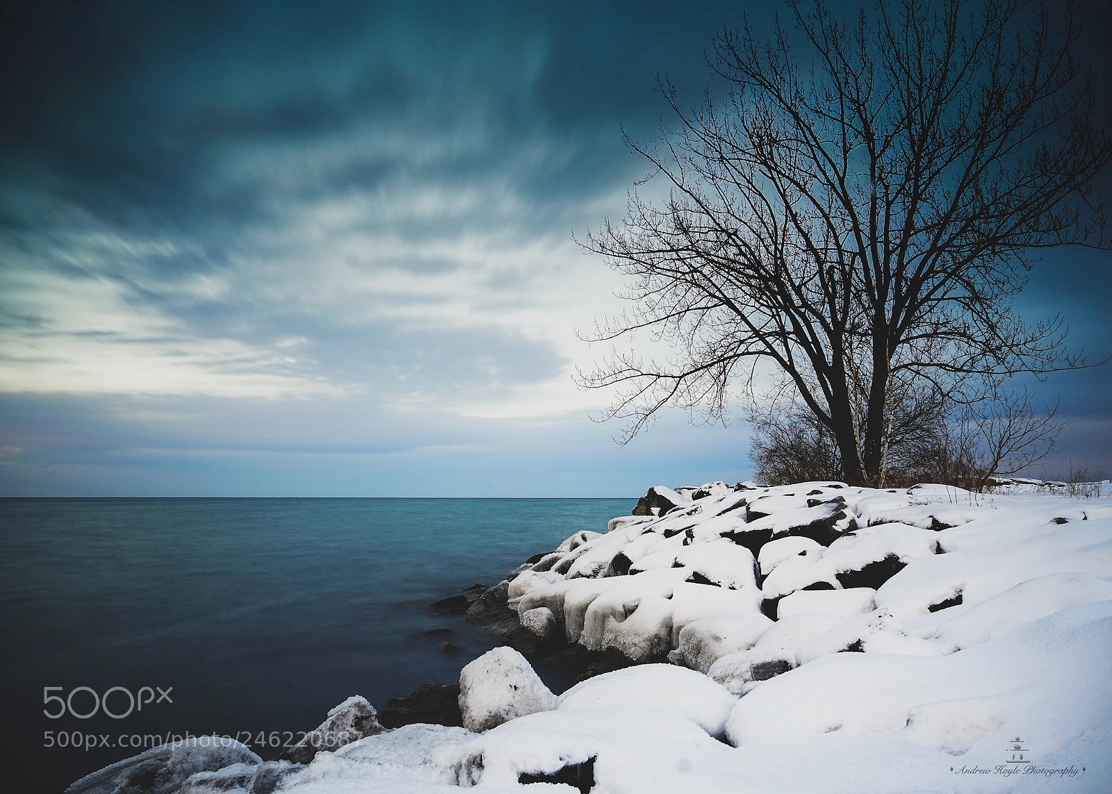 Sony a7R II sample photo. A winter day photography