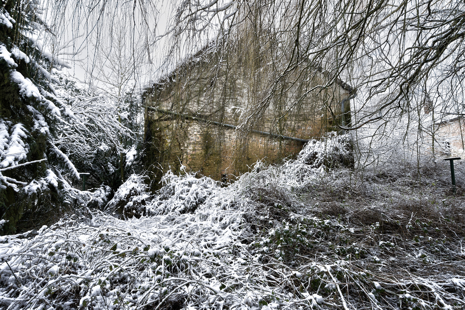 Sony a7R sample photo. Winter photography
