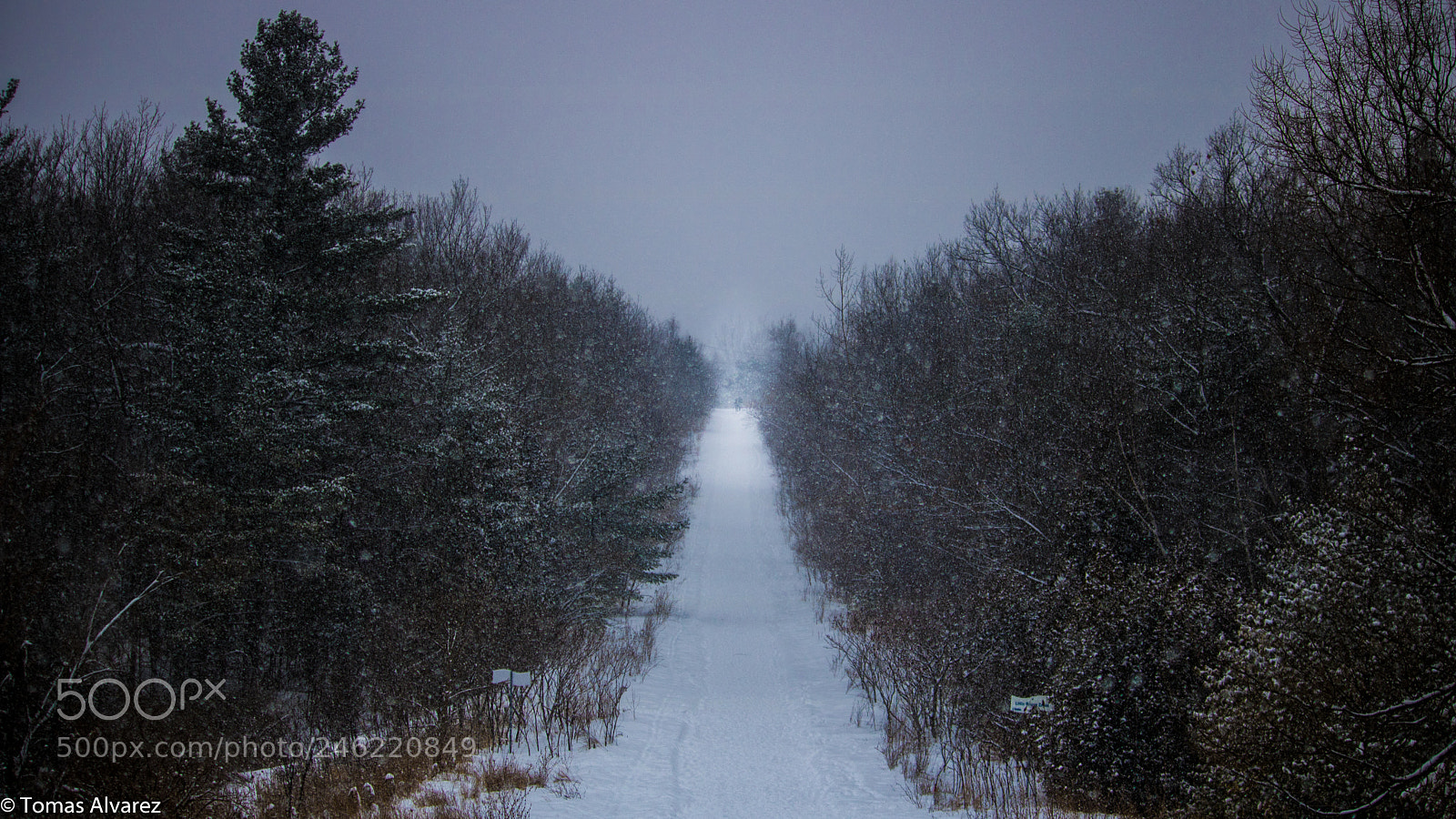 Canon EOS 750D (EOS Rebel T6i / EOS Kiss X8i) sample photo. Canadian summer at it's photography