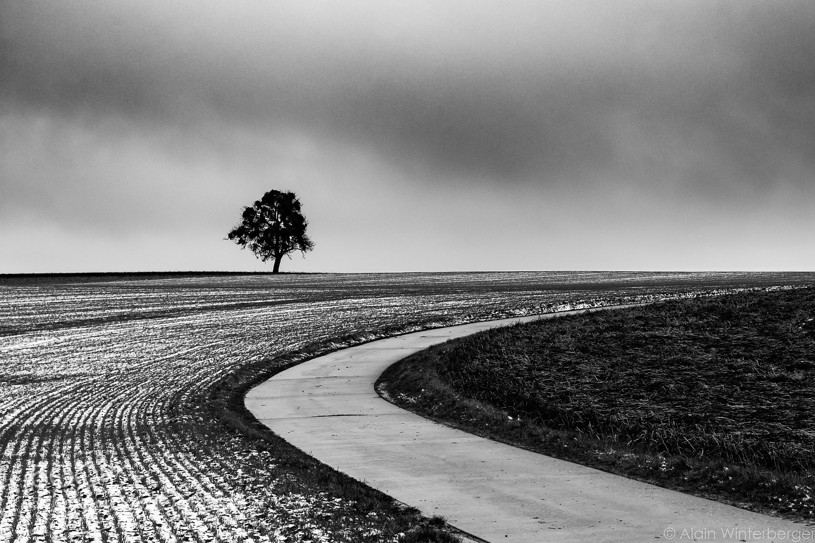 Nikon D7100 sample photo. Curve photography