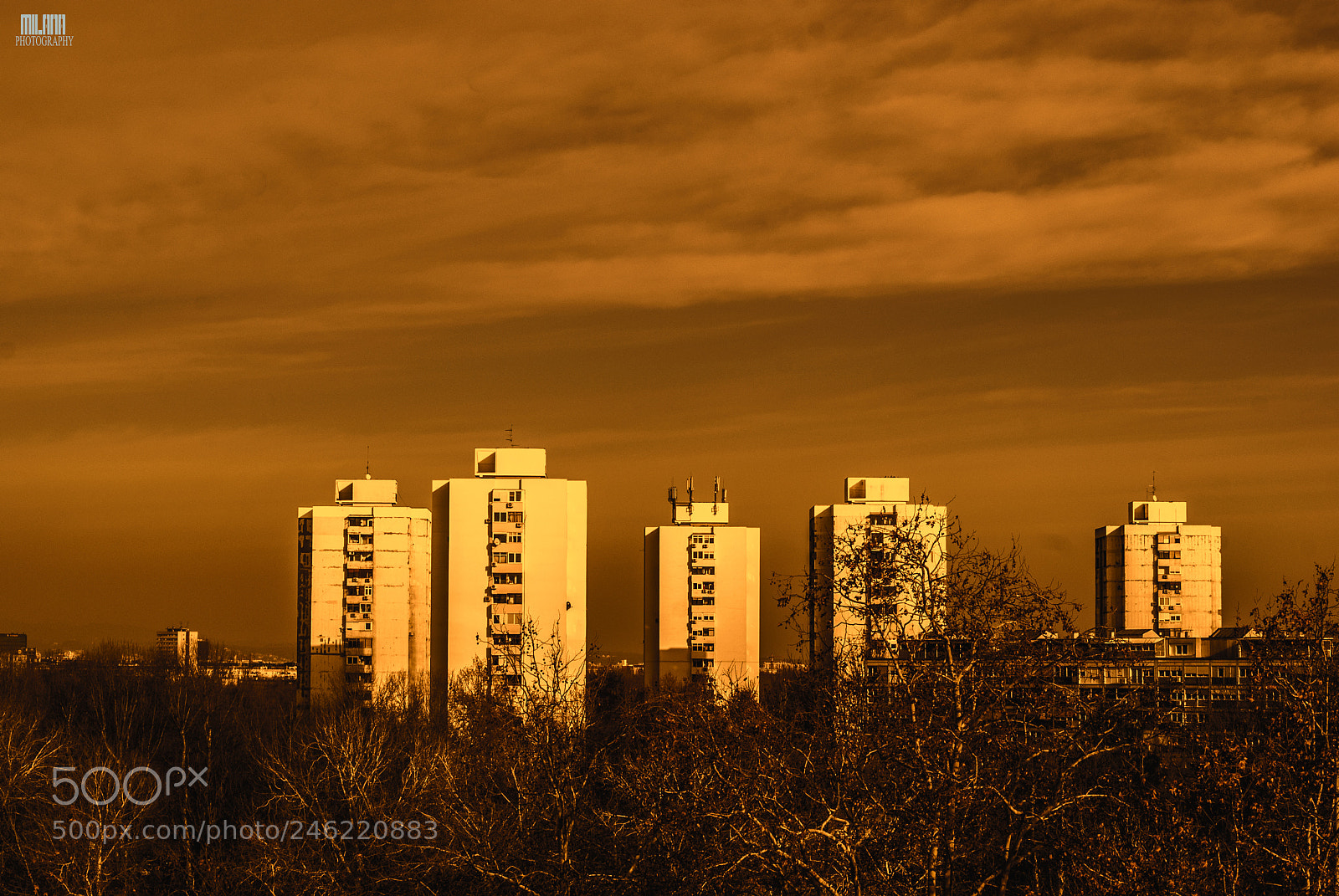 Sony Alpha DSLR-A200 sample photo. Apocalyptic world photography