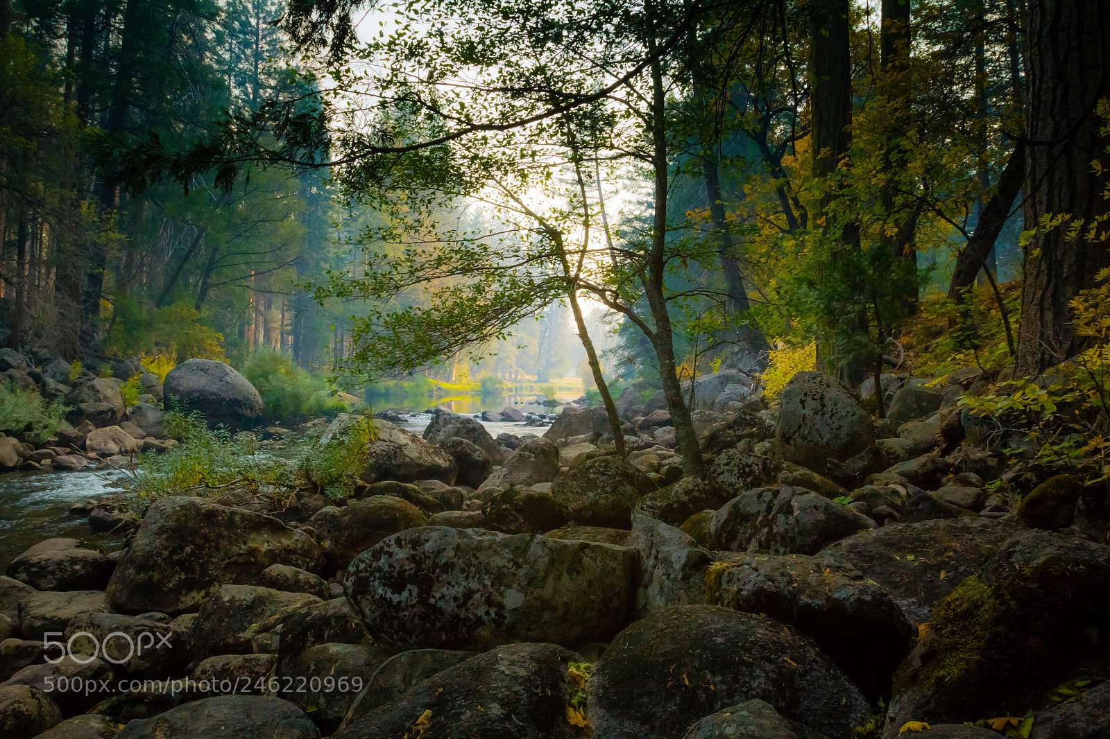 Canon EOS 60D sample photo. Smoky light photography