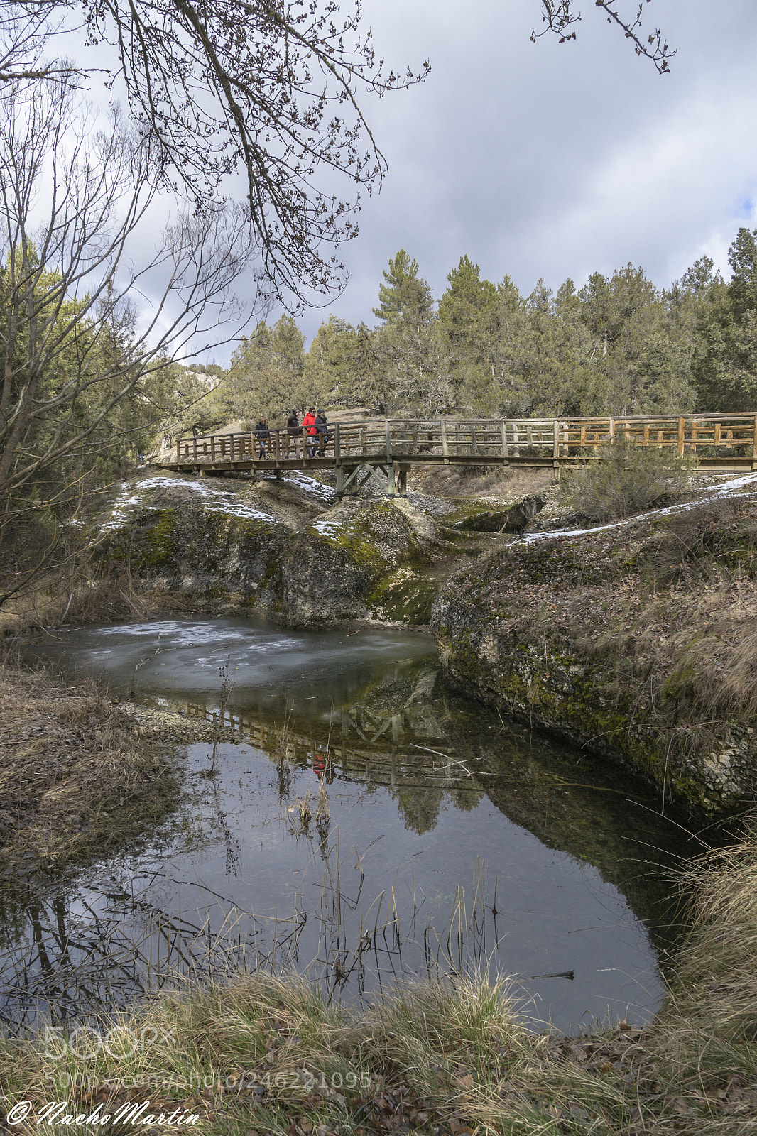 Nikon D3100 sample photo. Puente de madera photography