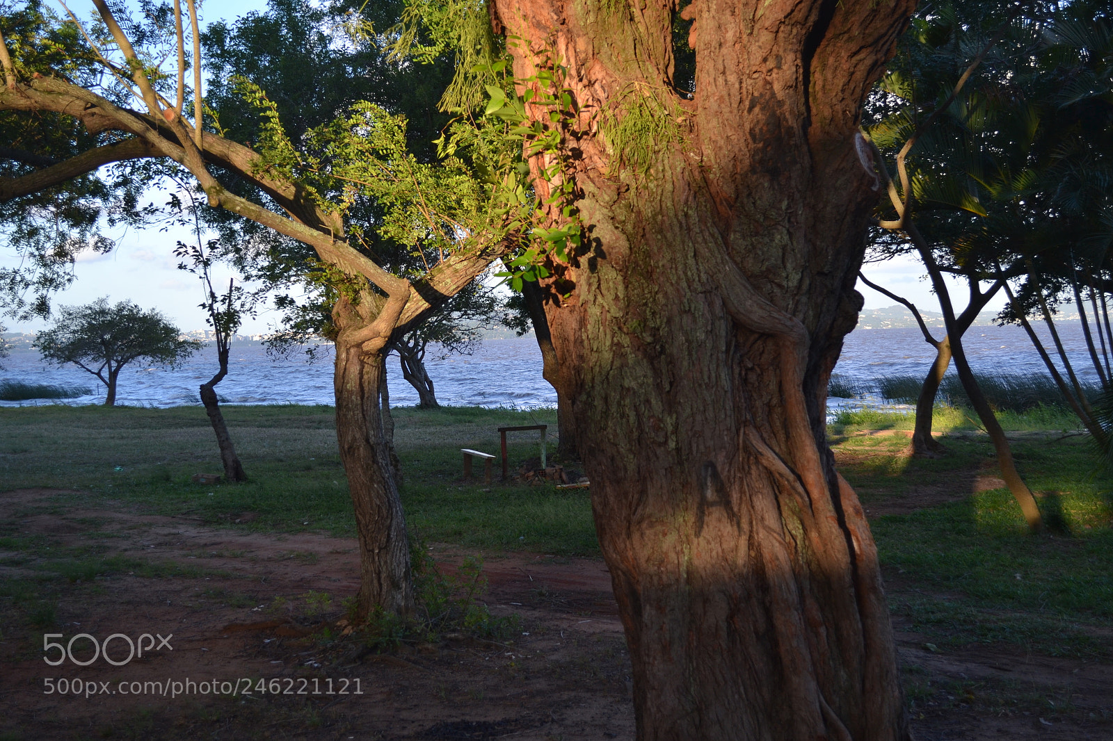 Nikon D3100 sample photo. Photo challenge, day 1 photography