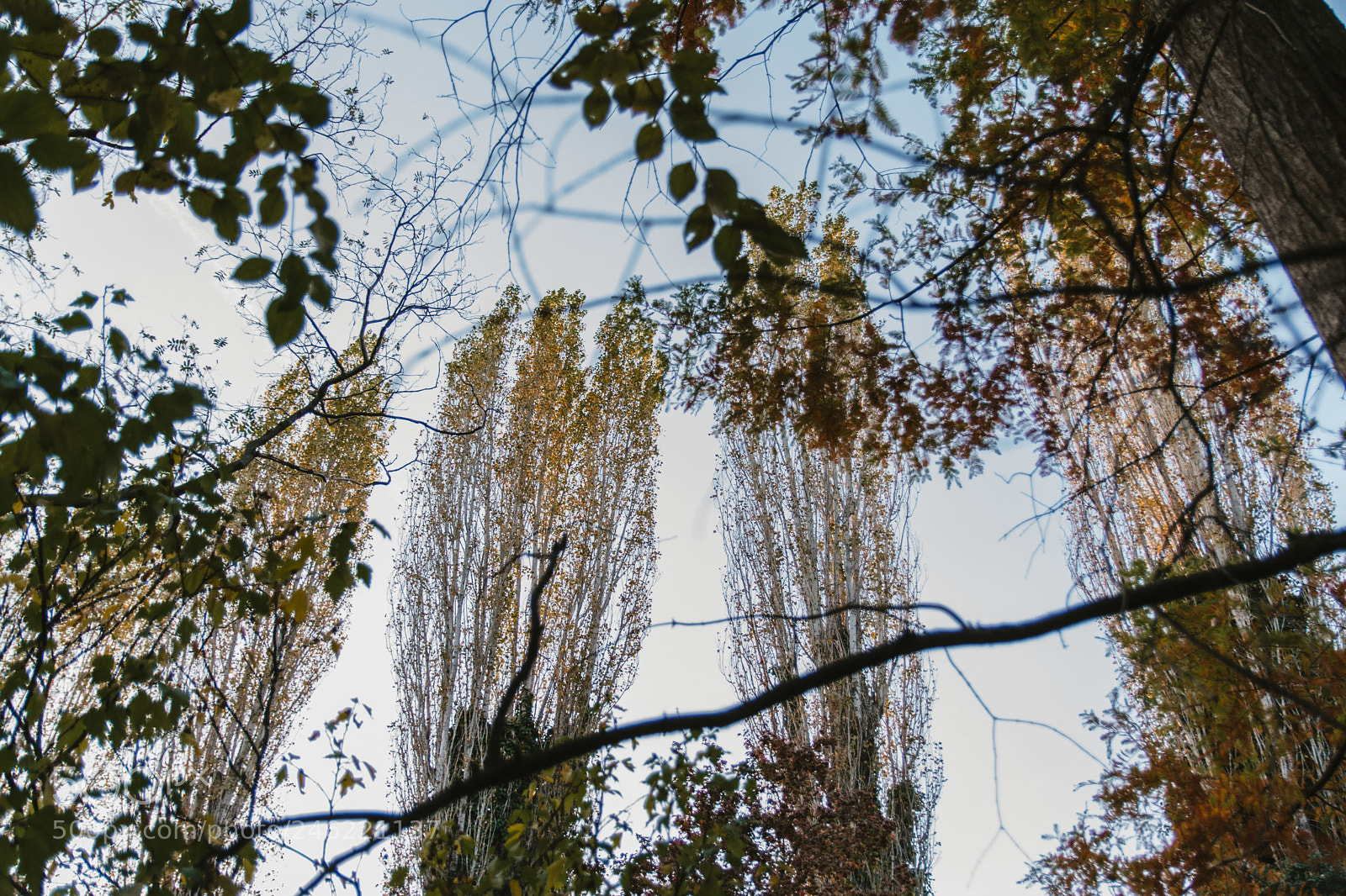 Nikon D7100 sample photo. Untitled photography