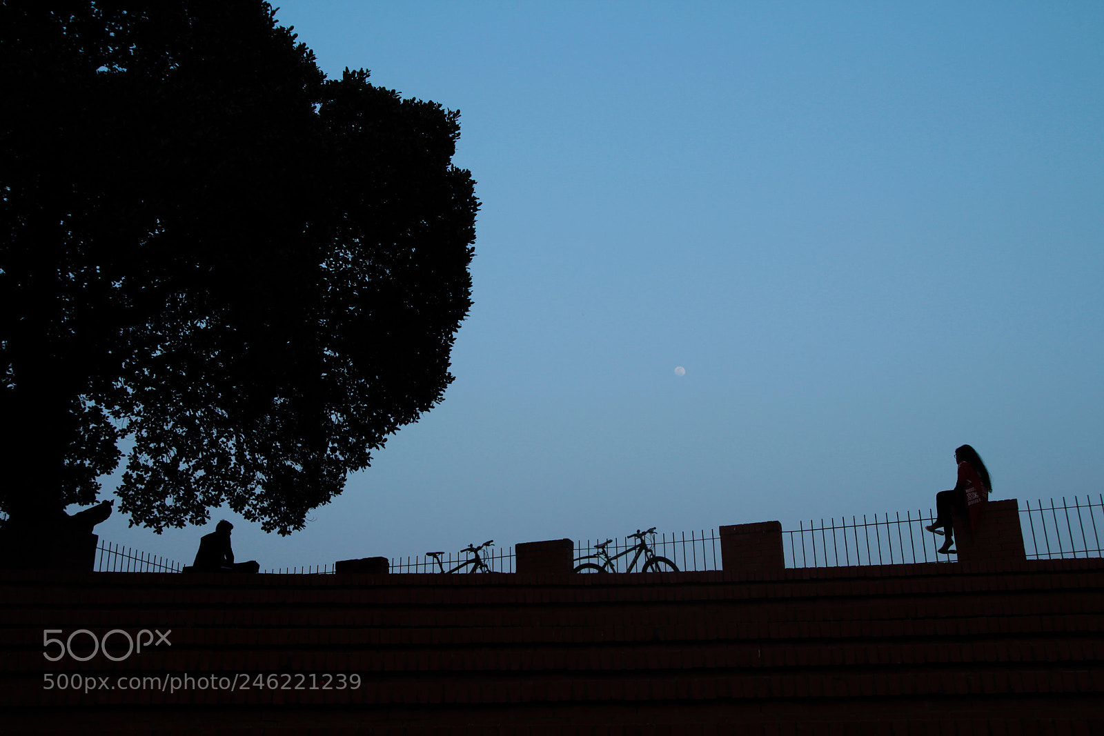 Canon EOS 700D (EOS Rebel T5i / EOS Kiss X7i) sample photo. Love from a distance photography