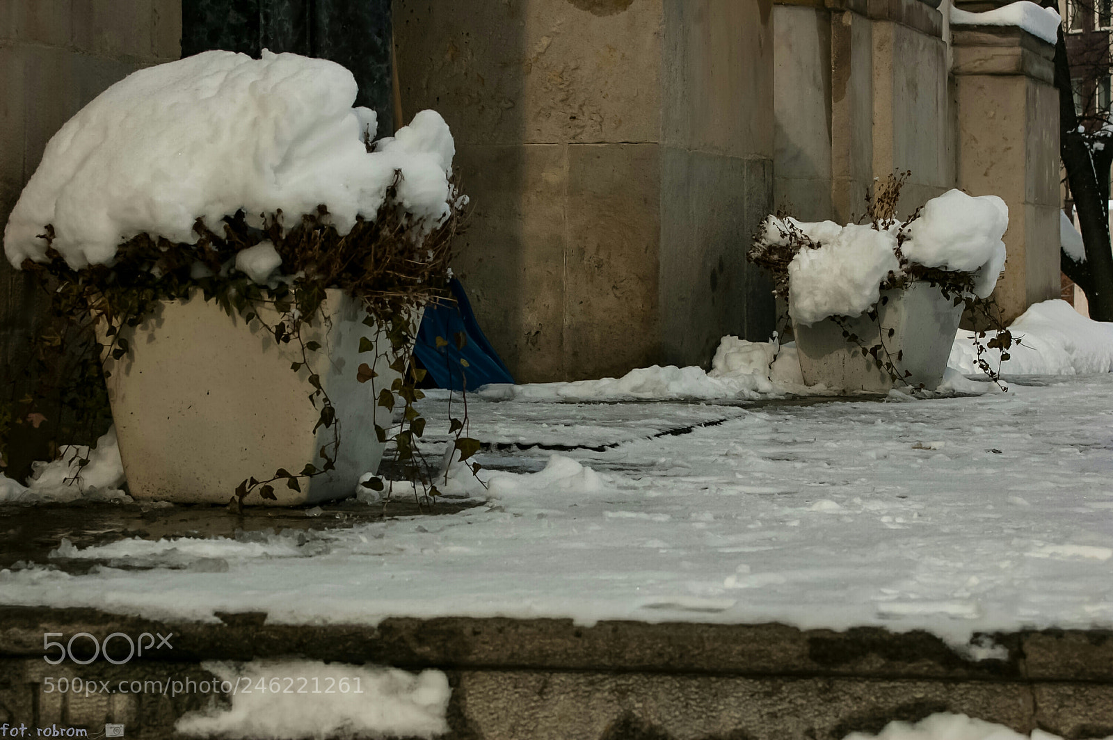 Nikon D50 sample photo. Winter photography