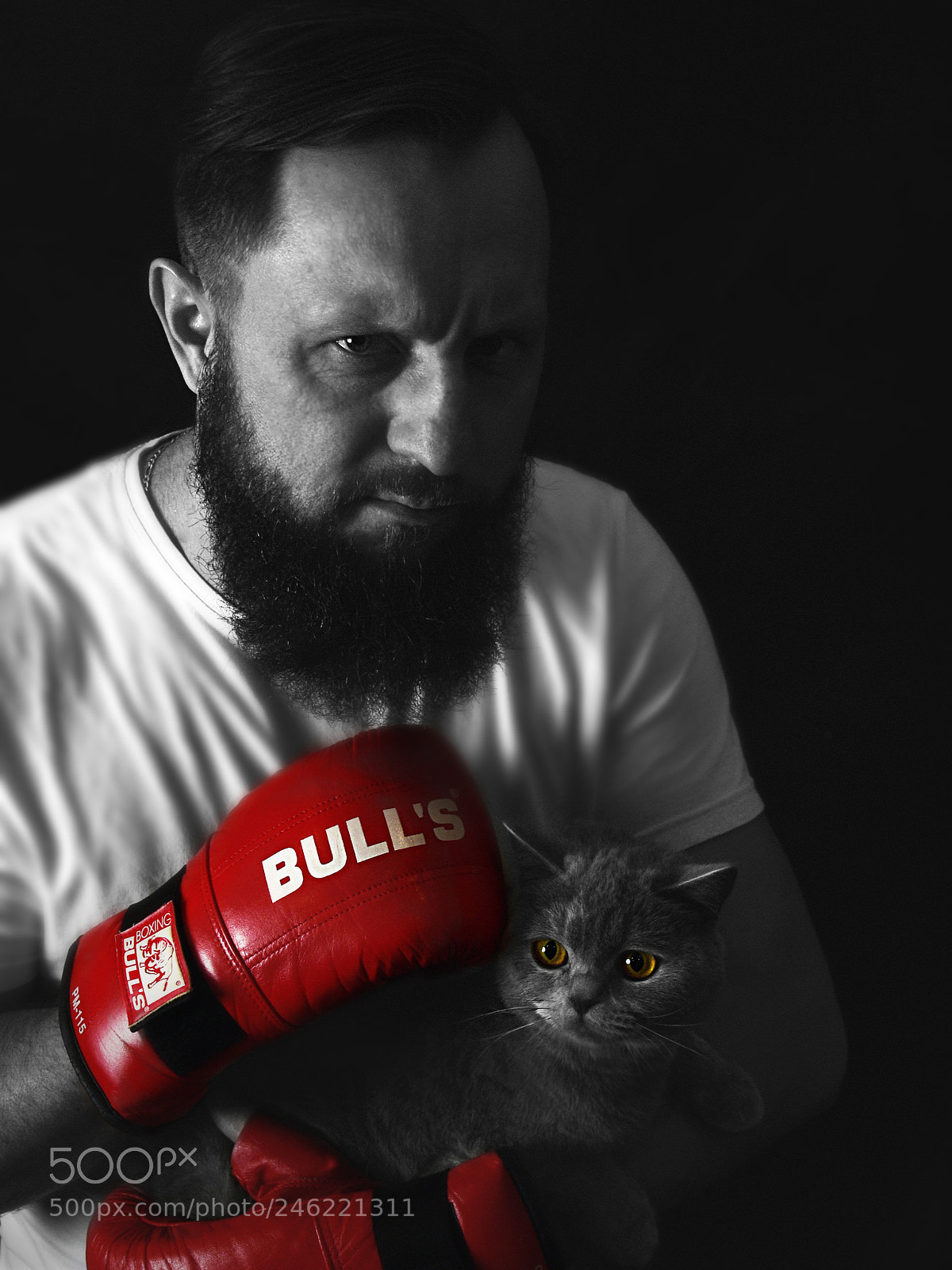Nikon D810 sample photo. Untitled photography