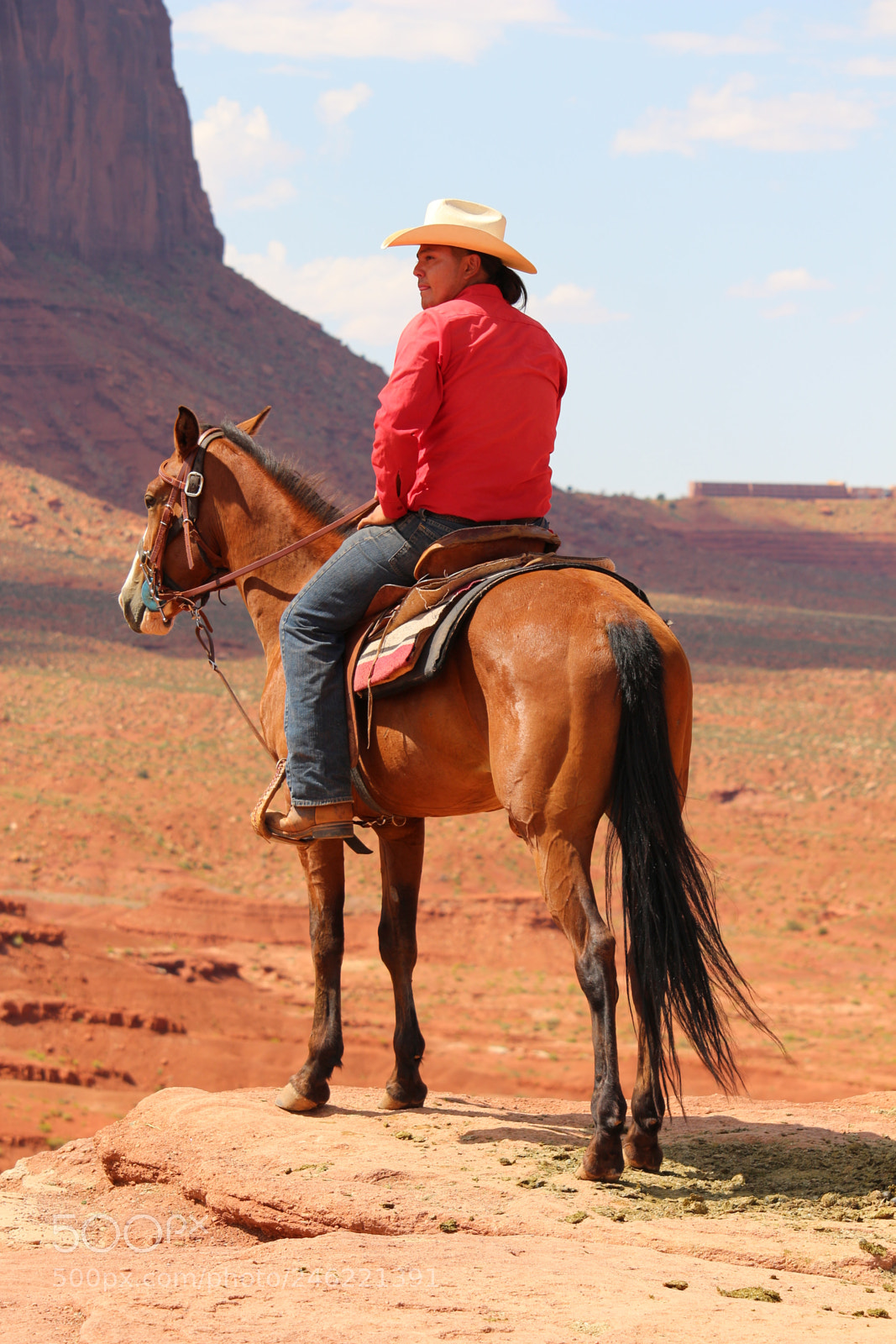 Canon EF-S 55-250mm F4-5.6 IS STM sample photo. Horse photography