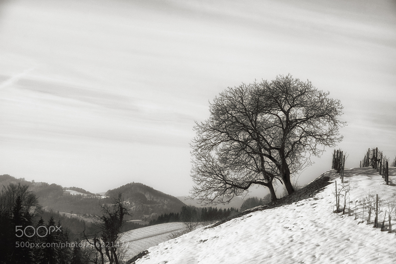 Nikon D7100 sample photo. Winter....... photography