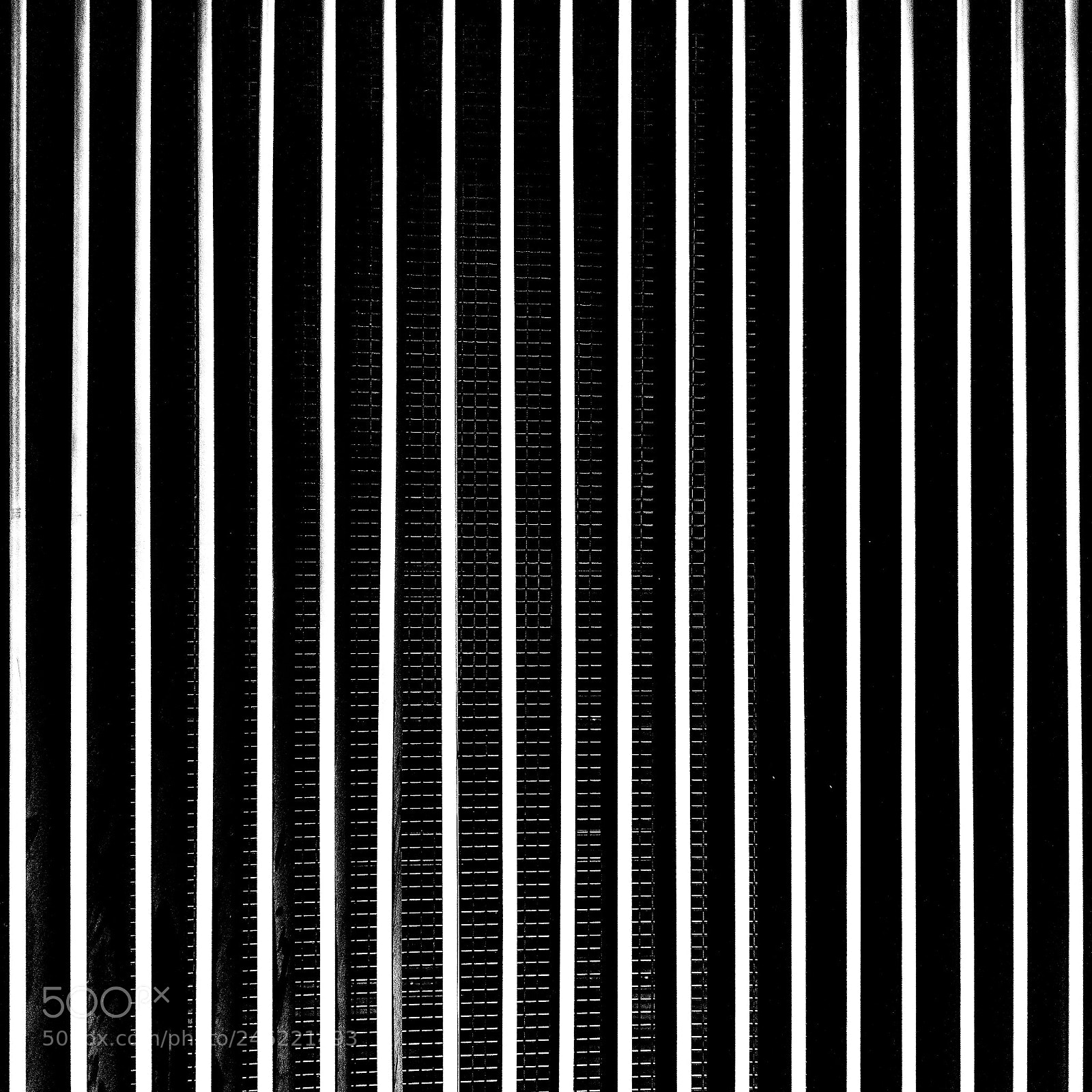 Nikon D810 sample photo. Lines photography