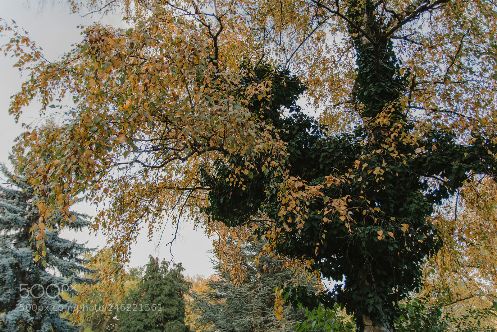 Nikon D7100 sample photo. Untitled photography