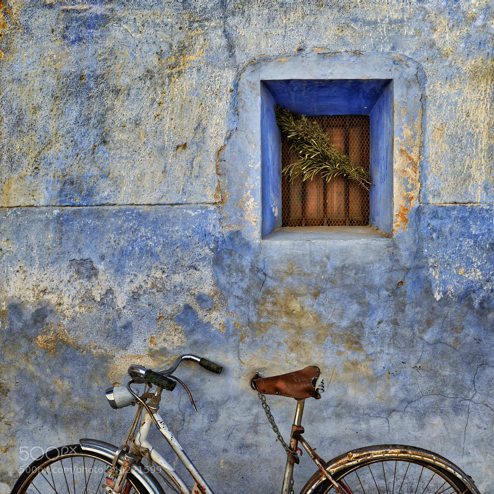 Nikon D610 sample photo. Untitled photography