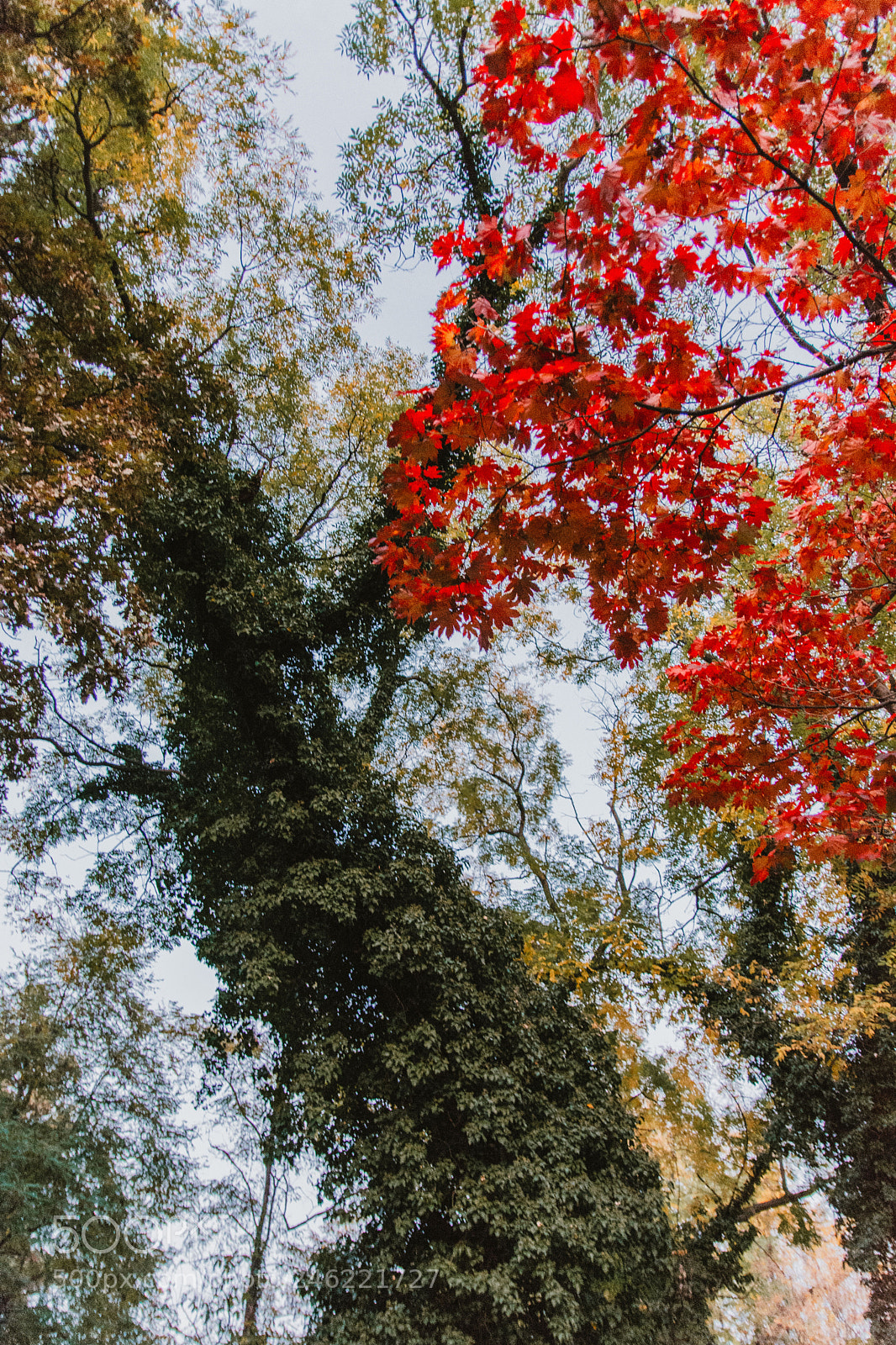 Nikon D7100 sample photo. Untitled photography