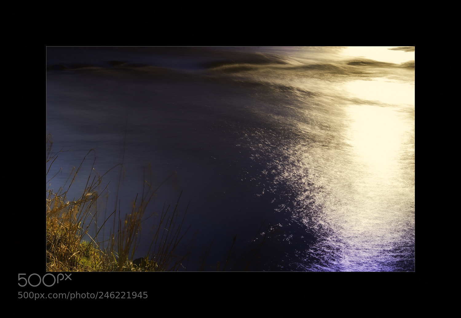 Fujifilm X-T2 sample photo. Kr ftige abendsonne auf photography