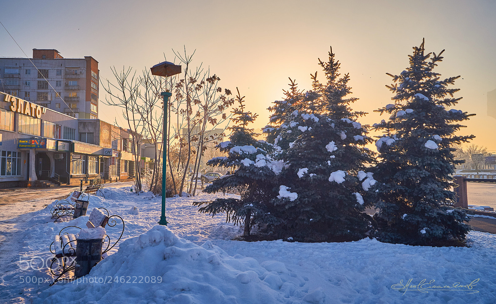 Sony SLT-A58 sample photo. "Золотий ранок/golden morning" photography