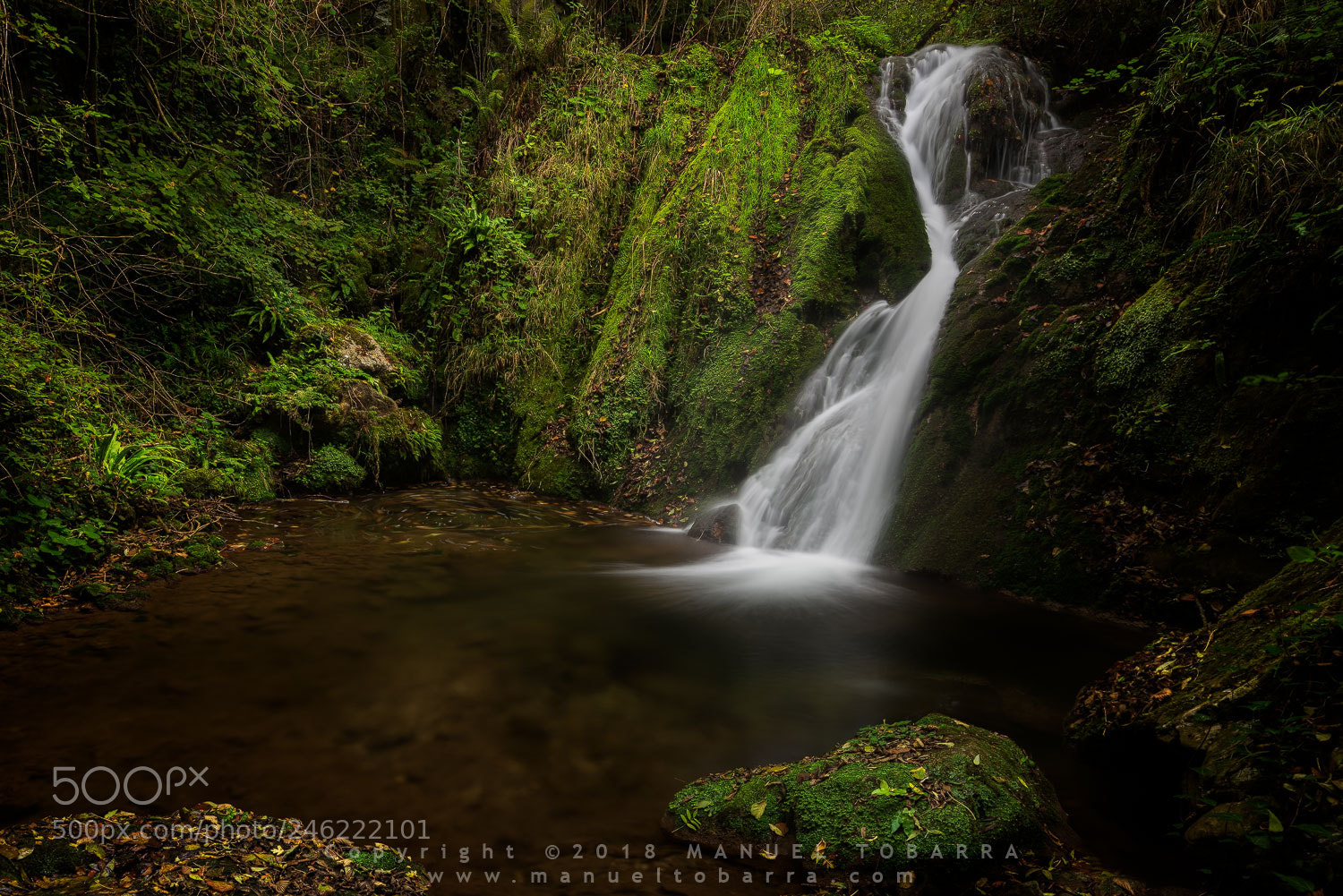 Nikon D810 sample photo. Waterfall photography