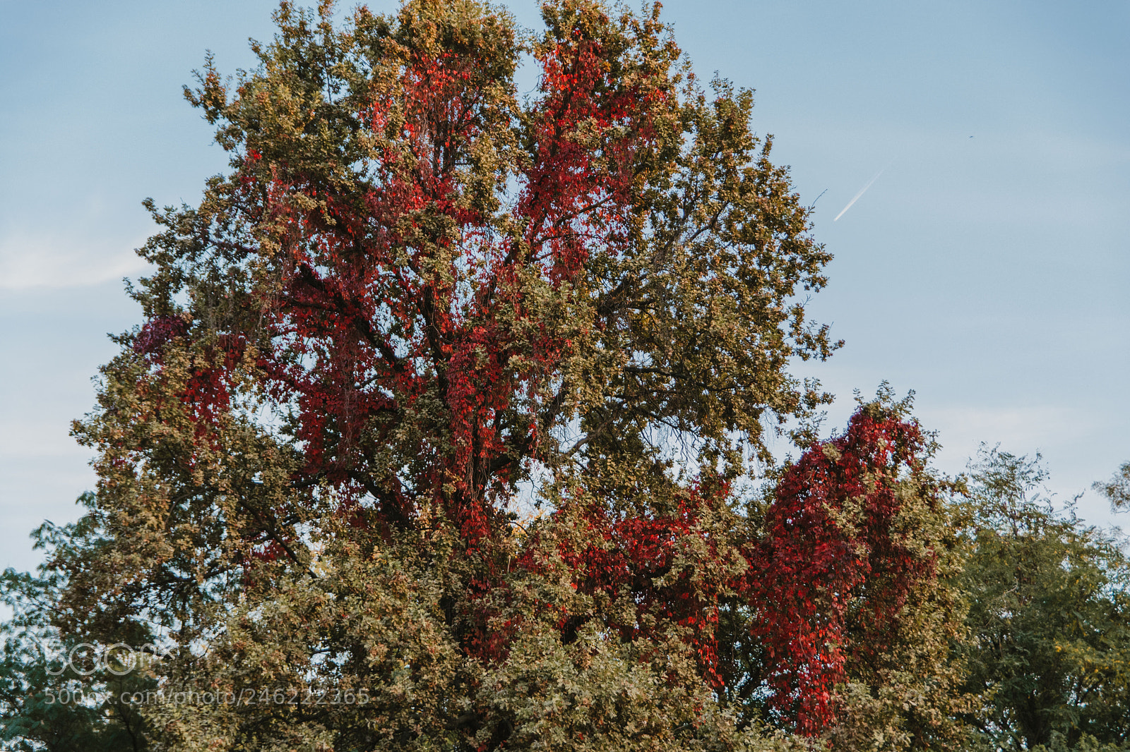 Nikon D7100 sample photo. Untitled photography