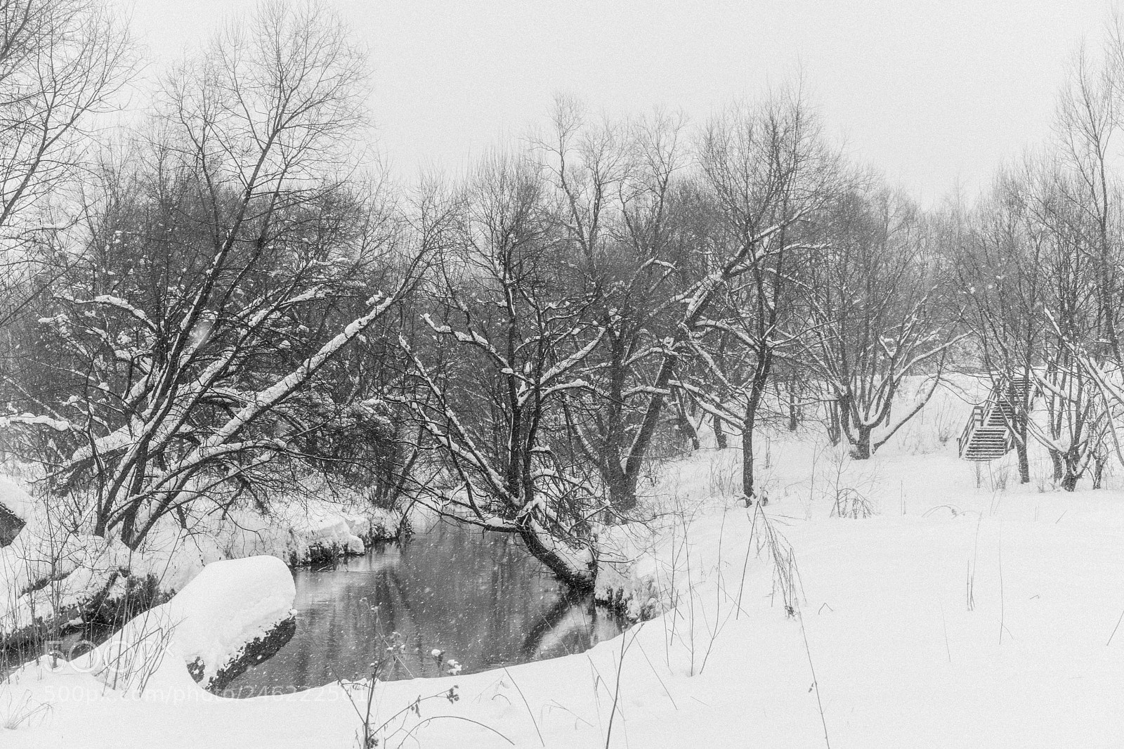 Sony a7 II sample photo. Winter sadness photography