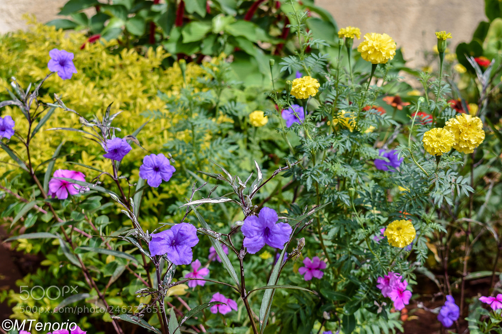 Nikon D3400 sample photo. Dsc_0316 photography