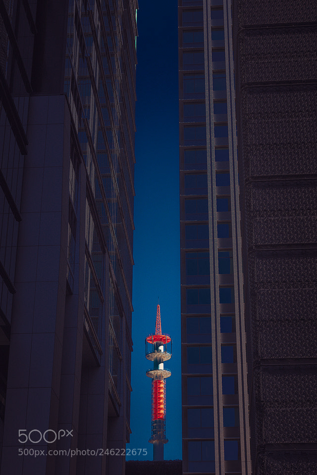 Canon EOS 5DS R sample photo. “a needle between...” ©2018 photography